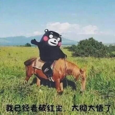 暗恋对象不回消息？这套熊本熊表情包太懂你了