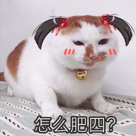 自带反差感！这组花脸猫咪表情包太适合斗图了