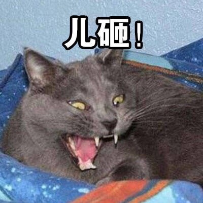 快把这套表情发给你家“儿砸”