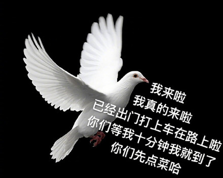 打工人常遇的被放鸽子表情包合集