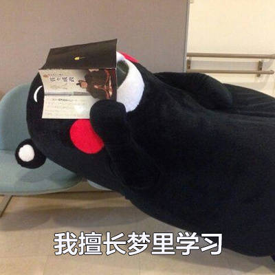 刷到就赚了！这套“可以说是非常擅长了”熊本熊表情包太戳人
