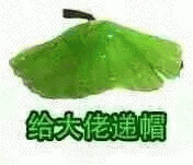 这款绿帽表情包，你想发给谁用？