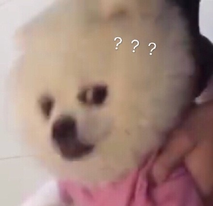 超实用汪星人表情包合集