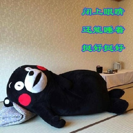 熊本熊版佛系青年日常表情包合集来啦