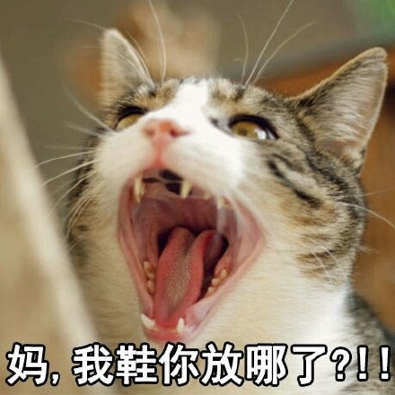 原来大家都在用这些喊妈的表情包！