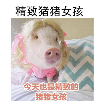 当代女孩的标签进化史，这套表情包给你整明白了