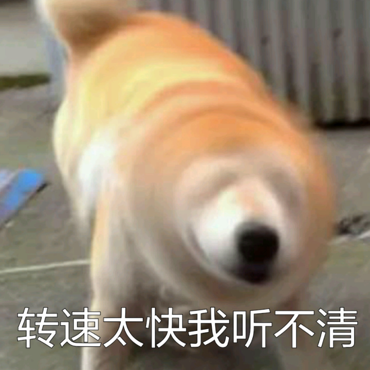 # 火遍全网的柴犬Doge，才是表情包界的老大哥
