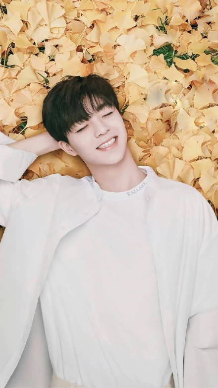 整理好了！近期热门手机壁纸合集来啦