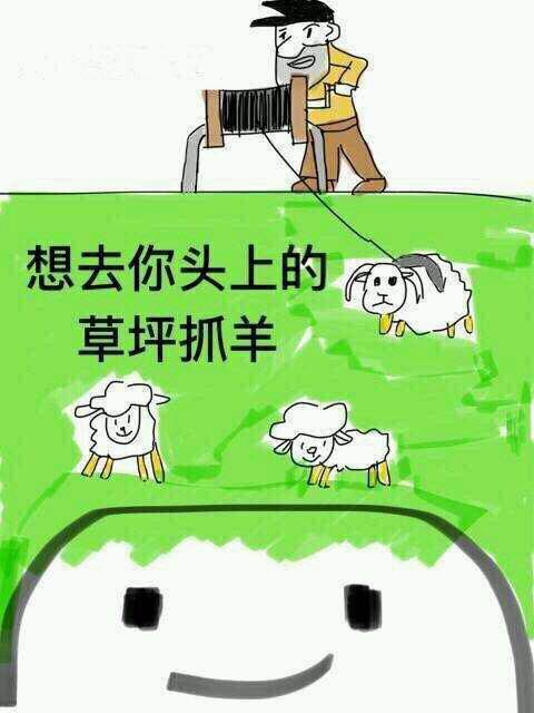 # 微信日常聊天热门表情包合集