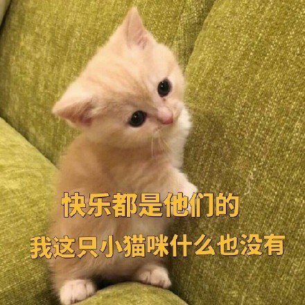 聊天斗图必备！这套小橘猫表情包太有意思了