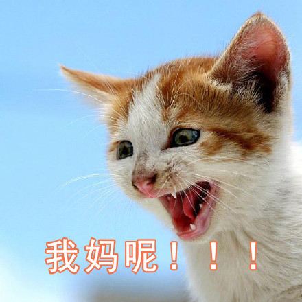 父女对话表情包火了！一句“我妈呢”戳中多少人的日常