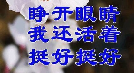 这套佛系九连表情包，把躺平心态直接焊在脸上