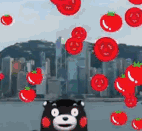 这里有超多熊本熊动态表情包！