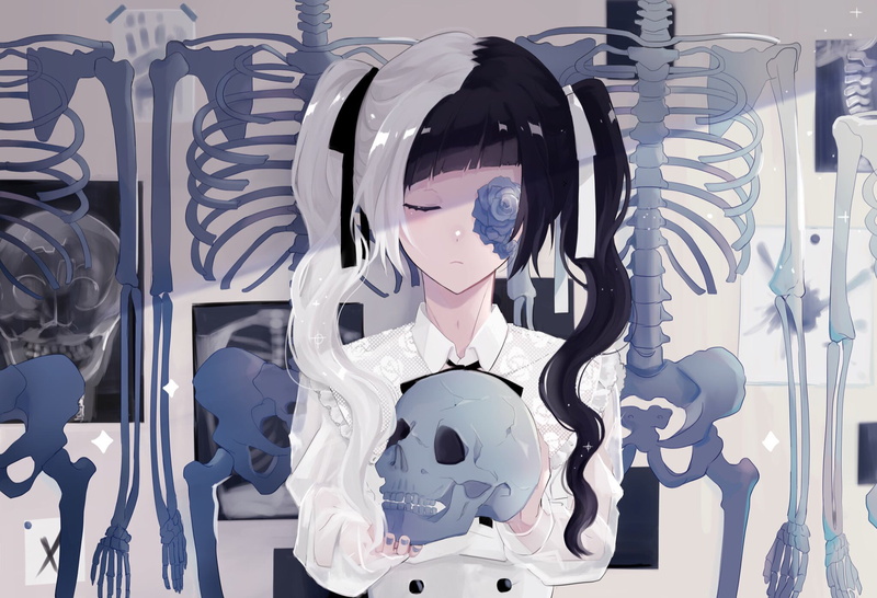 骷髅双马尾少女壁纸合集