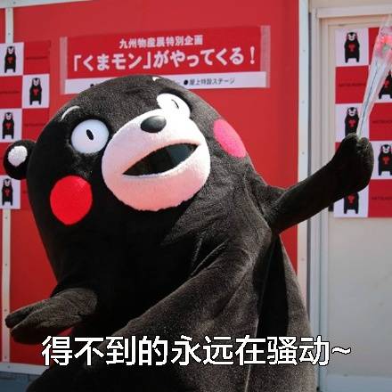 熊本熊表情包：男生追到女生后就变了？这套表情包给你说透