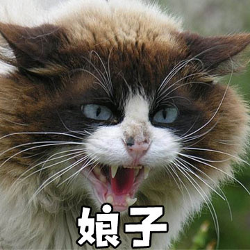 情侣互动感拉满！这套“娘子 啊哈”表情包太适合拌嘴秀恩爱了