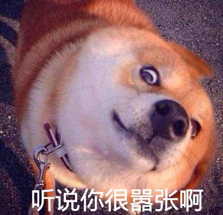 聊天怼人神器！瞪眼Doge表情包合集