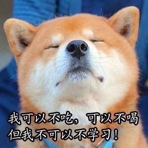 爱学习的Doge表情包合集