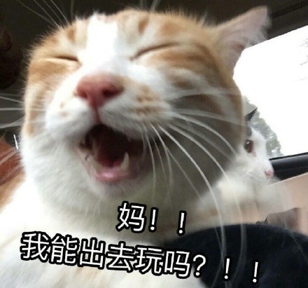 原来大家都在用这些喊妈的表情包！