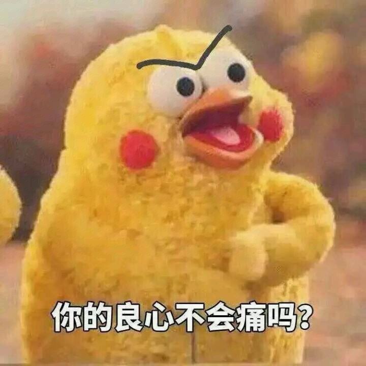 这套鹦鹉兄弟表情包火了！“你的良心不会痛吗”怼人超好用