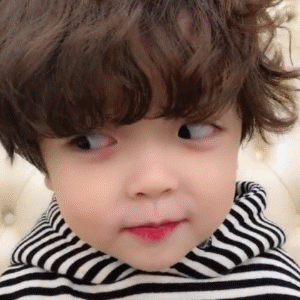 萌娃小小哲皓动图表情包来啦