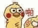 聊天斗图必备！这波鹦鹉兄弟GIF动图太好用了