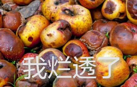 今日份沙雕聊天表情包上新啦