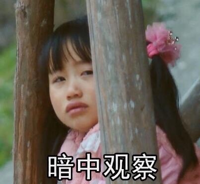 《变形记丽姐无水印表情包合集》