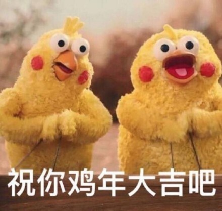 鹦鹉兄弟送鸡年祝福！这套表情包太应景了