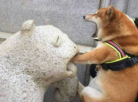 超甜情侣头像合集来啦