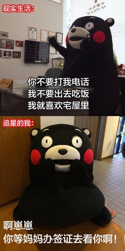 追星前后的我反差有多大？这套熊本熊表情包太真实了