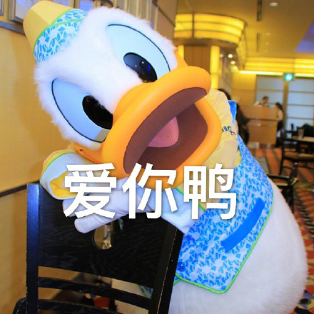 唐老鸭表情包第三弹来啦！