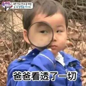 # 宋民国萌系动图表情包上新啦