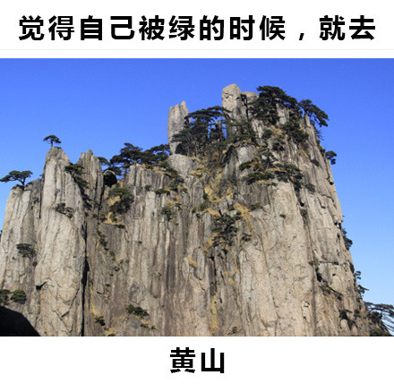 就给大家指条明路的内涵表情包合集来了