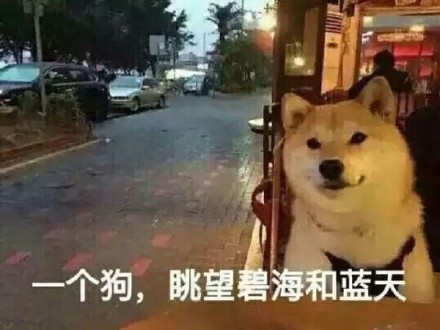 单身狗专属emo表情包来啦！这份合集用调侃的语气唱出了单身深夜的迷茫情绪，还搭配了多组适配斗图的趣味表情。