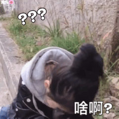 权律二撸猫表情包合集来啦