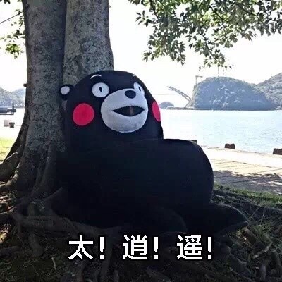 期末复习emo了？这套熊本熊版《一人我饮酒醉》表情包太绝了