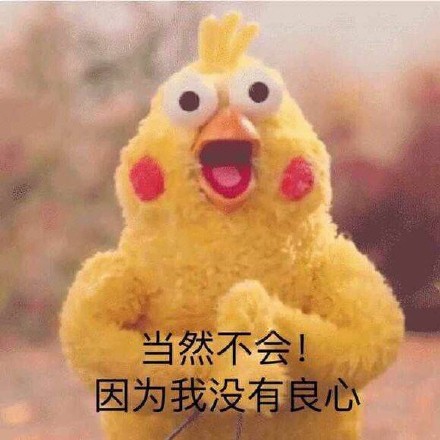这套鹦鹉兄弟表情包火了！“你的良心不会痛吗”怼人超好用