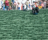 挖到一批过气网红熊本熊表情包