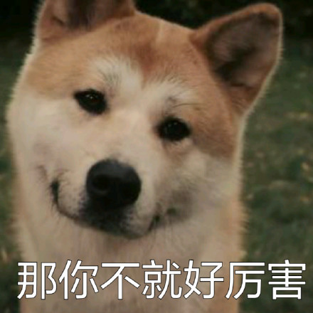 # 火遍全网的柴犬Doge，才是表情包界的老大哥