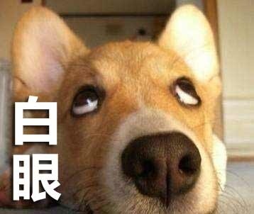 二狗式嘲笑表情包来啦，斗图又有新素材了