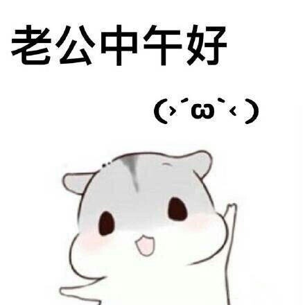 软萌撒娇！ㄇㄚˊ幾兔跟老公撒娇的全套表情包