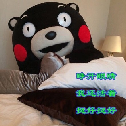 熊本熊版佛系青年日常表情包合集来啦