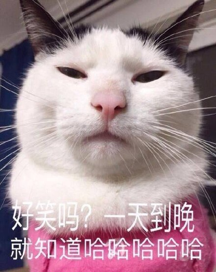 猫咪萌萌表情包合集来啦