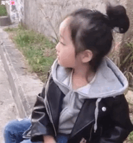 权律二撸猫表情包合集来啦