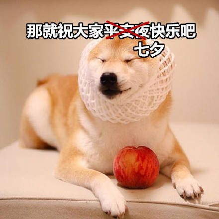 七夕单身党看过来！专属怼狗粮表情包合集