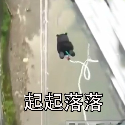 熊本熊版人生感悟刷屏：起起落落落落的日常太真实了