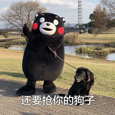 熊本熊版“皮一下很开心”表情包合集