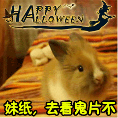 万圣节专属表情包来啦，快来一起鬼混斗图