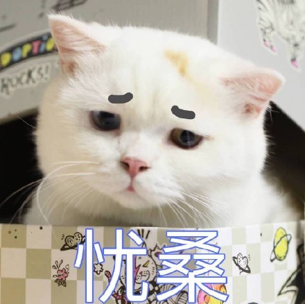 救命！这套猫咪表情包也太治愈了，快拿去吸猫
